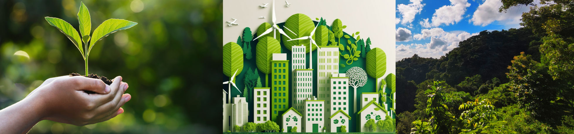 Gestion-Ambiental_Satup